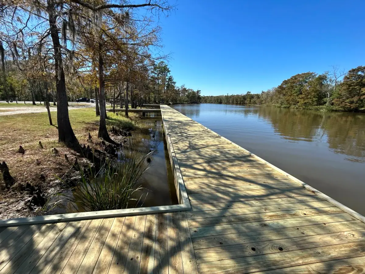 Long treated-pine boardwalk along a cypress bayou