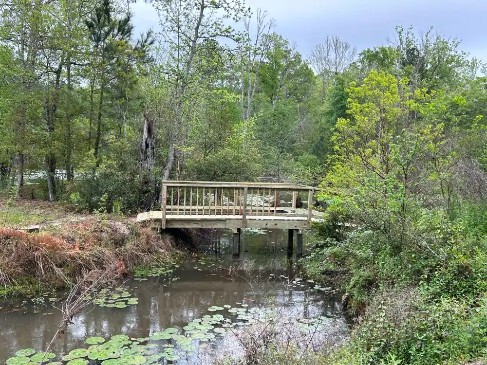 Small timber footbridge with rails over a bayou