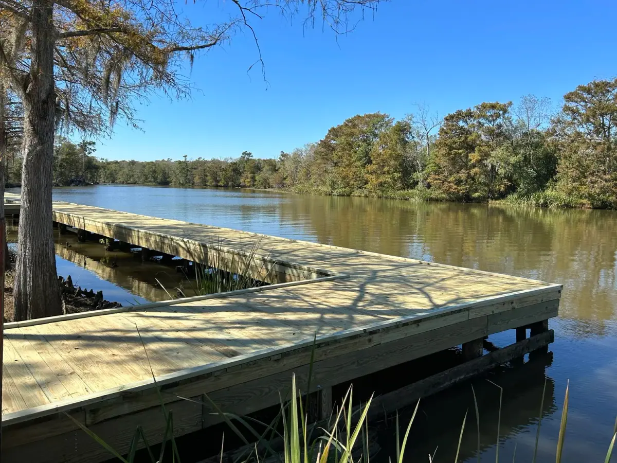 Treated-pine pier reaching into a cypress bayou